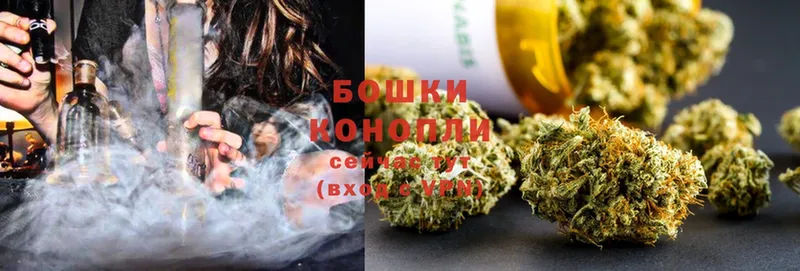 omg ССЫЛКА  Кущёвская  Марихуана SATIVA & INDICA 